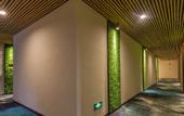 Туры в отель Li Rui Xiang Zhangshu Garden Hotel (Dujiangyan Scenic Area)