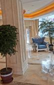 Туры в отель Vienna Hotel