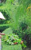 Туры в отель Shunyi Oriental baipenhu Hot Spring Hotel (Huizhou Huidong Baipenzhu store)