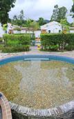 Туры в отель Shunyi Oriental baipenhu Hot Spring Hotel (Huizhou Huidong Baipenzhu store)