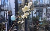 Туры в отель Hui Pan Hotel