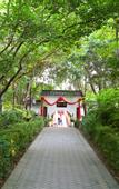 Туры в отель Yatai New City Hot Spring Hotel
