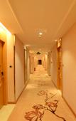 Туры в отель Vienna Hotel (Dongguan Songshan Lake Dalang Textile Center Store)