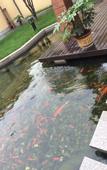 Туры в отель Myfeel Hotel (Zhejiang Institute of Communications)