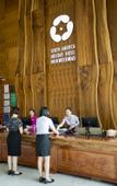 Туры в отель South America Holiday Hotel