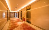 Туры в отель South America Holiday Hotel