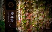 Туры в отель Soluxe Heyi Hotel Dalian