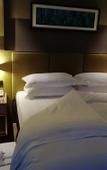Туры в отель Ramada by Wyndham Leshan