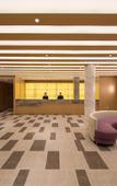 Туры в отель Hotel Jardine