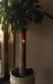 Туры в отель Sixiang Fortune Hotel