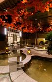 Туры в отель Fengdu Hotel (Harbin)