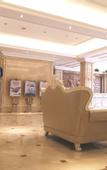 Туры в отель Vienna Hotel (Foshan Sanshui Datang)