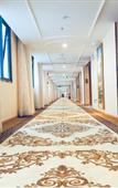 Туры в отель Vienna Hotel (Foshan Sanshui Datang)