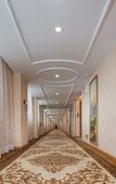 Туры в отель Vienna Hotel (Foshan Sanshui Datang)
