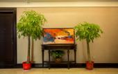 Туры в отель KING TAI HOTEL