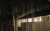 Туры в отель LOSTVILLA·Green Gable(Anji)