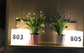 Туры в отель Insail Hotels Loufu Mountain Branch