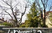 Туры в отель Yinju Yangma Island homestay