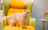 Туры в отель MiLo Spiritual Home