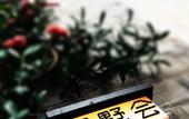 Туры в отель Floral Hotel · Nanjing Jiashuhui Boutique hotel (Qinhuai River Confucius Temple Laomen East Branch)