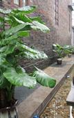 Туры в отель Scholars Boutique Hotel (Zhenjiang Xijindu Ancient Street Museum)