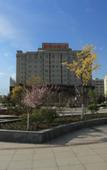 Туры в отель Yongdeng Jujia Hotel