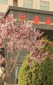Туры в отель Yongdeng Jujia Hotel
