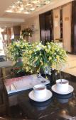 Туры в отель Jordon Hotel