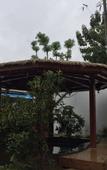 Туры в отель Nanshan Bamboo Hai'anyu Yuenanshan Hot Spring Resort Hotel