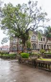Туры в отель Huangjia Garden Binhai Hotel