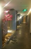 Туры в отель QIANNA HOTEL(Zhengzhou Erqi Wanda Jingguang Road)
