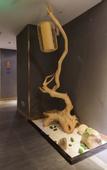 Туры в отель QIANNA HOTEL(Zhengzhou Erqi Wanda Jingguang Road)