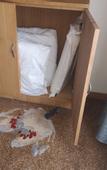 Туры в отель QIANNA HOTEL(Zhengzhou Erqi Wanda Jingguang Road)