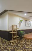 Туры в отель AiDePinYue Hotel (ZhangzhouXinzheng International Airport)
