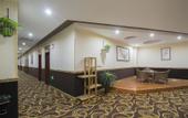 Туры в отель AiDePinYue Hotel (ZhangzhouXinzheng International Airport)