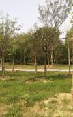 Туры в отель AiDePinYue Hotel (ZhangzhouXinzheng International Airport)