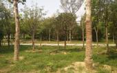 Туры в отель AiDePinYue Hotel (ZhangzhouXinzheng International Airport)