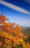 Туры в отель Minyoun Guangwu Mountain Hotel