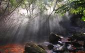 Туры в отель Minyoun Guangwu Mountain Hotel