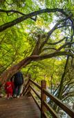 Туры в отель Minyoun Guangwu Mountain Hotel