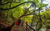 Туры в отель Minyoun Guangwu Mountain Hotel