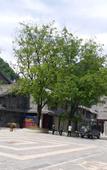 Туры в отель Minyoun Guangwu Mountain Hotel