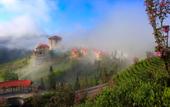 Туры в отель Longyunshan Tea Garden Hotel Of LeYe