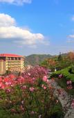 Туры в отель Longyunshan Tea Garden Hotel Of LeYe