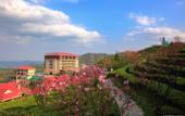 Туры в отель Longyunshan Tea Garden Hotel Of LeYe