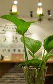 Туры в отель Wuzhen Xiduo Art Hotel (Xizha)