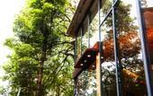 Туры в отель Wuxuan Hotel (Shapingba High-speed Railway Station Chongqing University)