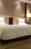 Туры в отель Kunming Mercury Hot Spring Hotel (South Asia Customs Garden Branch)