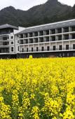 Туры в отель Sunflower Resort Hotel