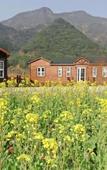Туры в отель Sunflower Resort Hotel